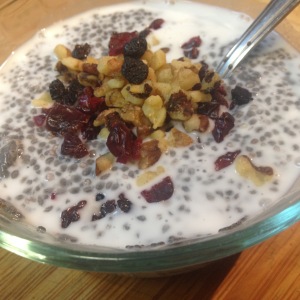 Chia Seed Cereal